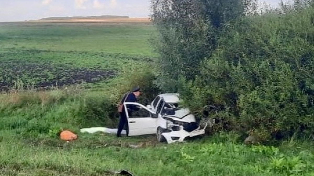 В Батыревском районе осудят предполагаемого виновника ДТП с двумя погибшими