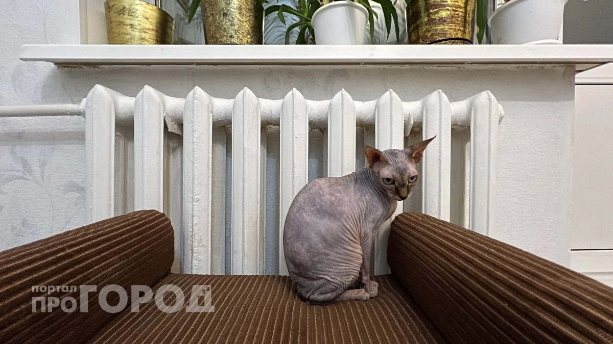 Когда в Чебоксарах отключат отопление