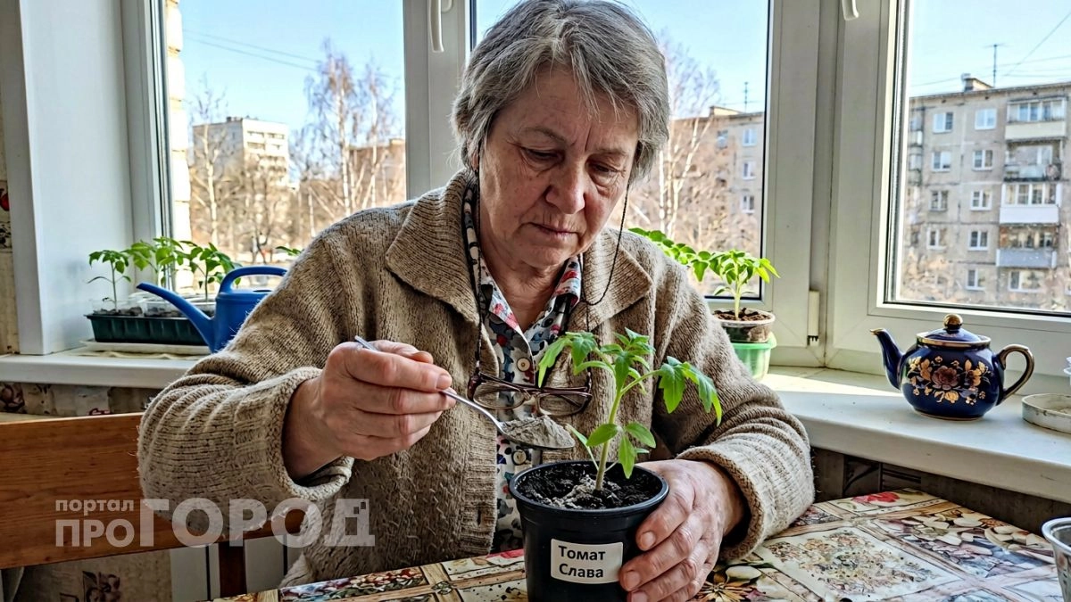 Сыплю всего щепотку в грунт – и хилые ростки перцев за пару дней наращивают мощные стволы толщиной с палец