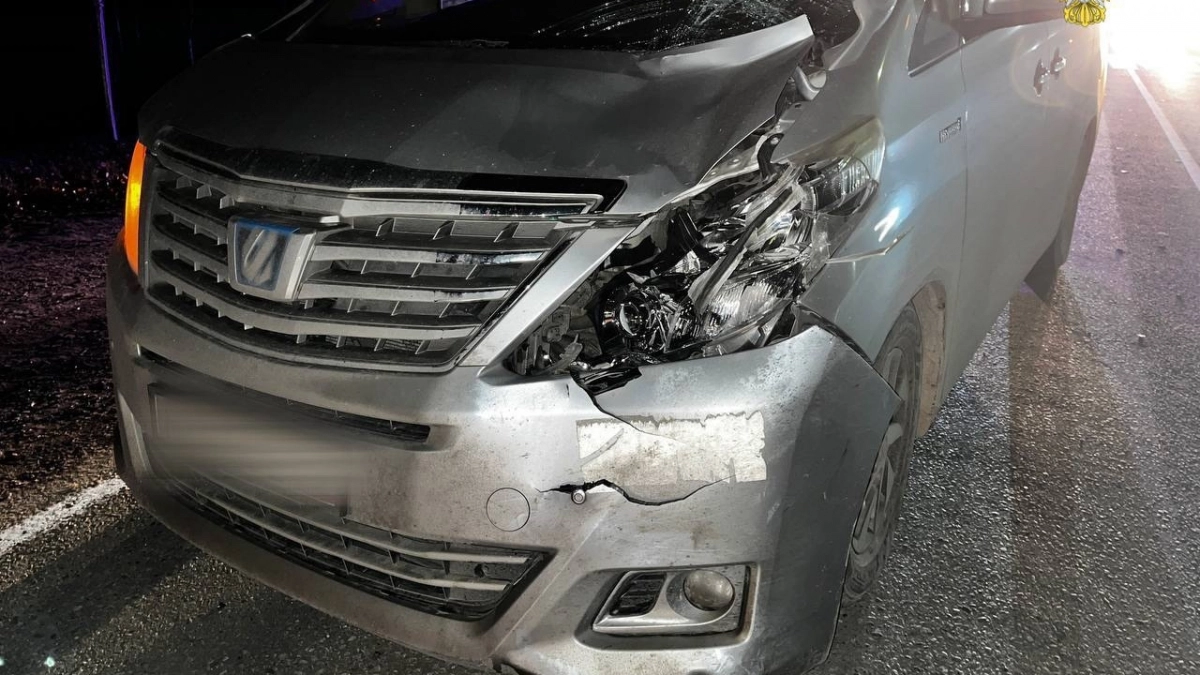 Чебоксарца осудили за сбитую на пешеходном переходе женщину