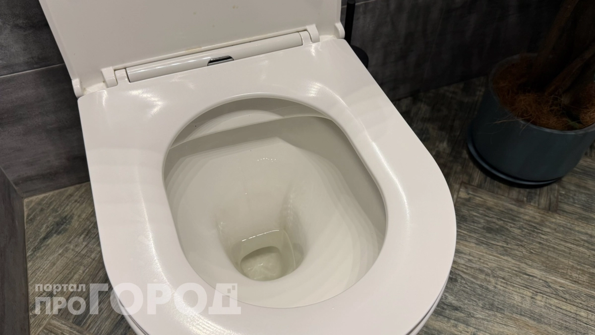 Две капли в унитаз перед сном – и утром чаша блестит от чистоты: недорогой способ убрать налет