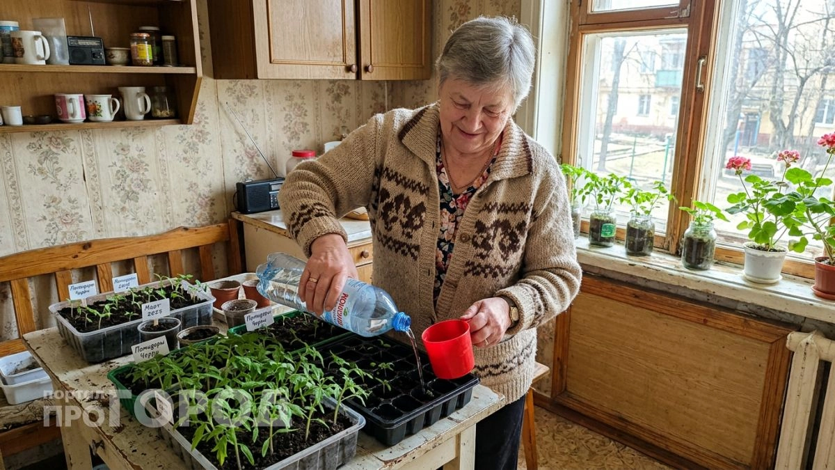 Подливаю это под рассаду в конце марта — через неделю стебли толстенные и корни не вытянешь из земли
