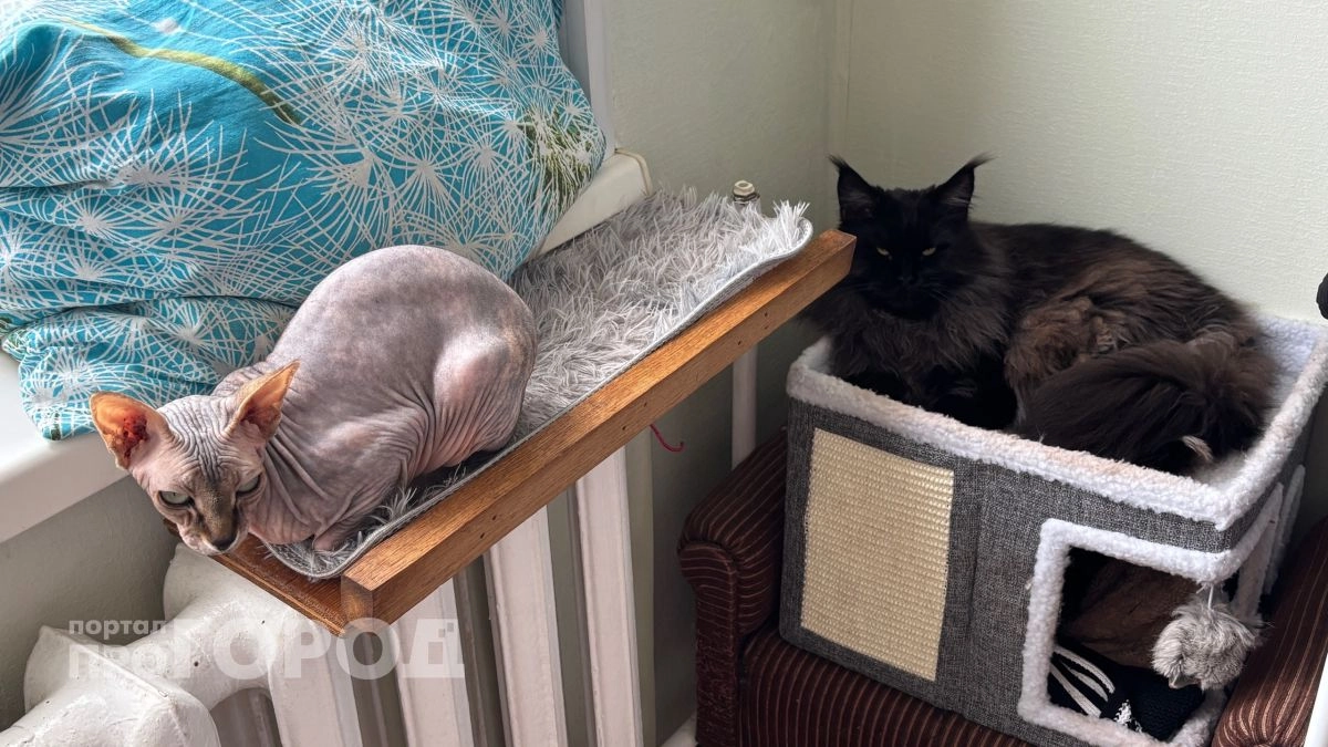 Появилась информация, когда в Чебоксарах отключат отопление