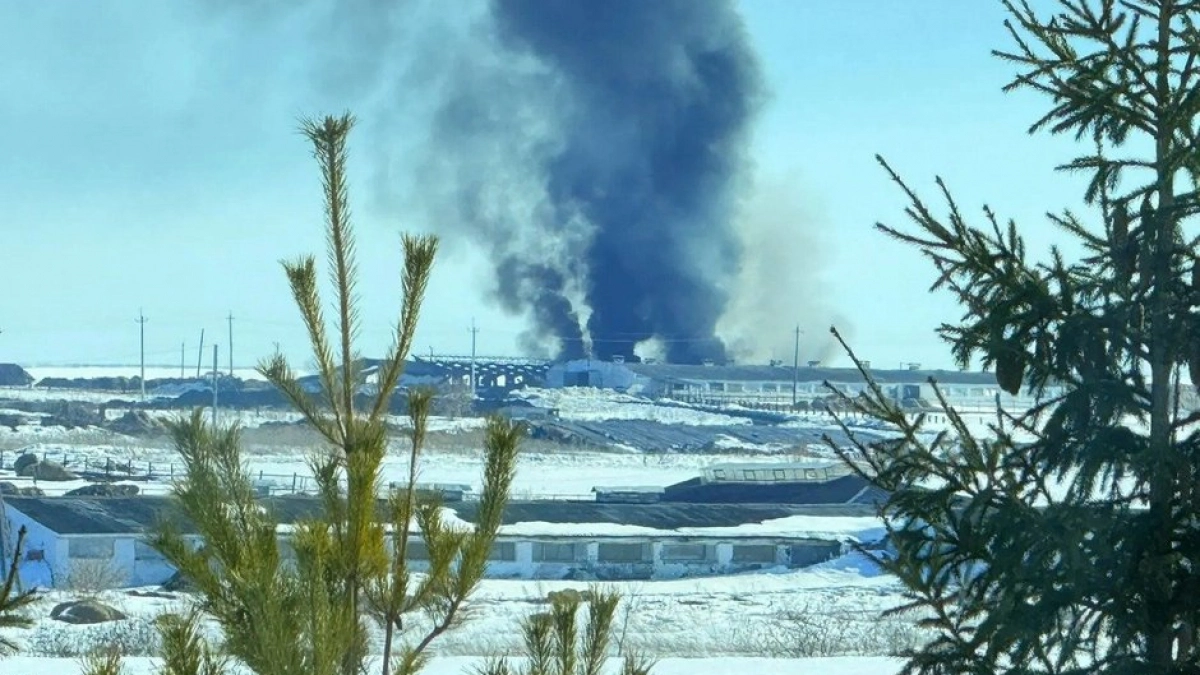 Над фермой в Батырево заметили черный дым: предположительно сожгли зараженных коров 