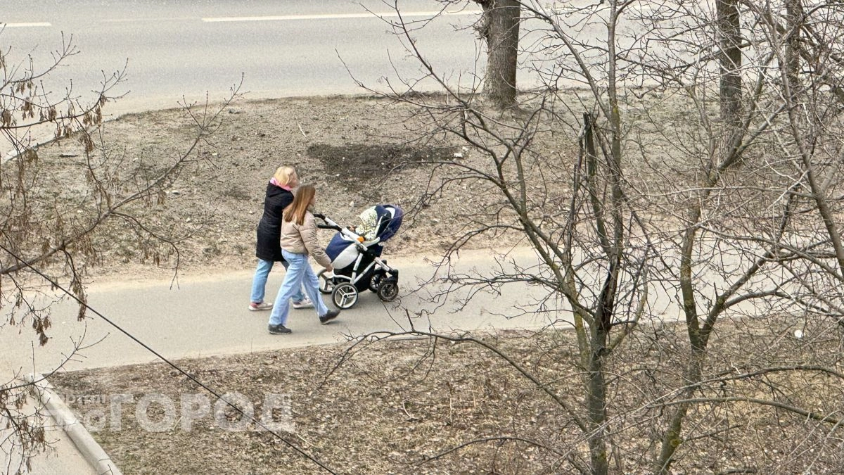 В СФР по Чувашии рассказали о самых частых ошибках родителей, не получающих пособие на ребенка