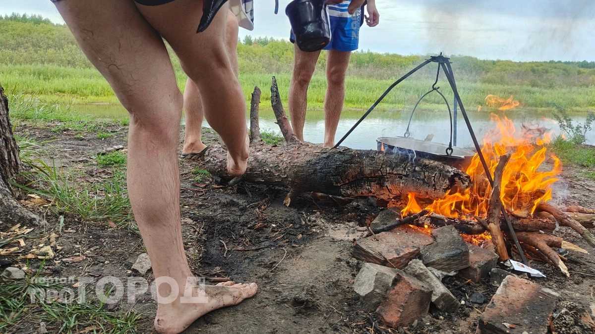 Жителям Чувашии напомнили о грядущих запретах на шашлыки и штрафах за игнор правил