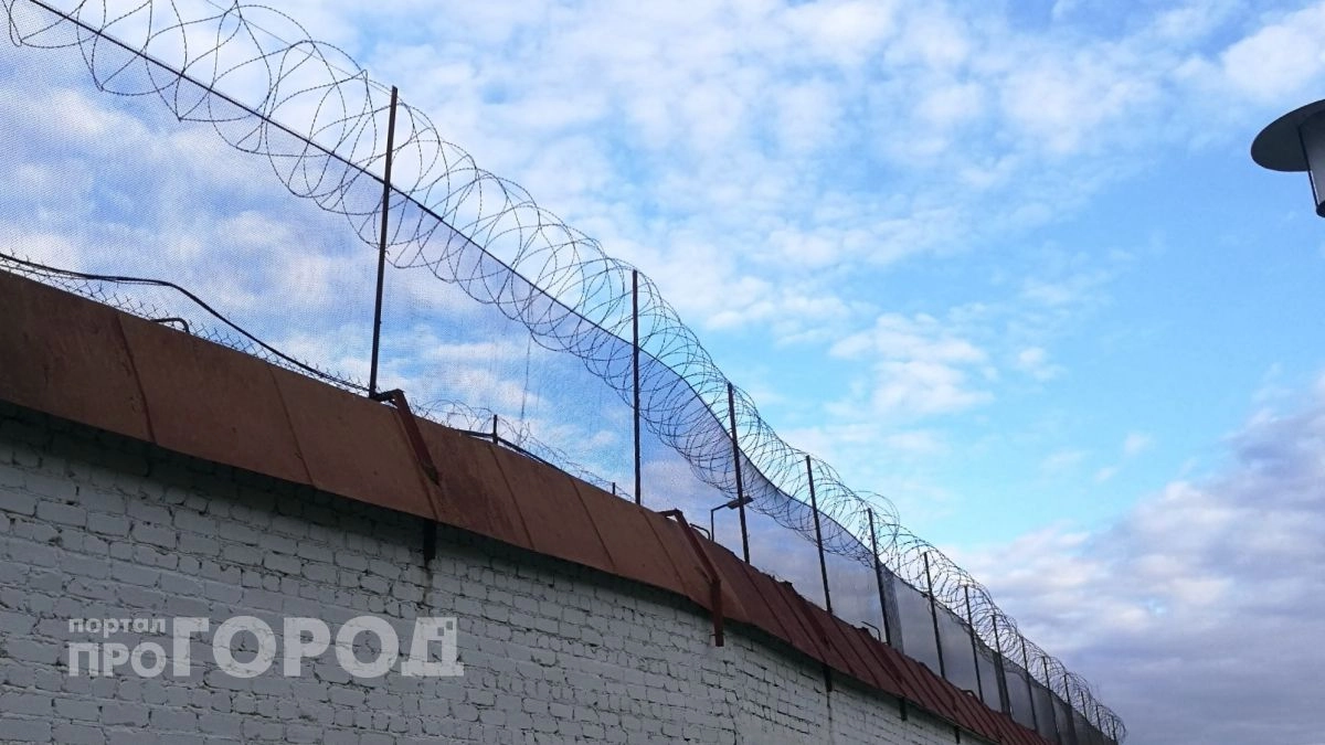 Путин помиловал осужденную женщину, сидевшую в Чувашии