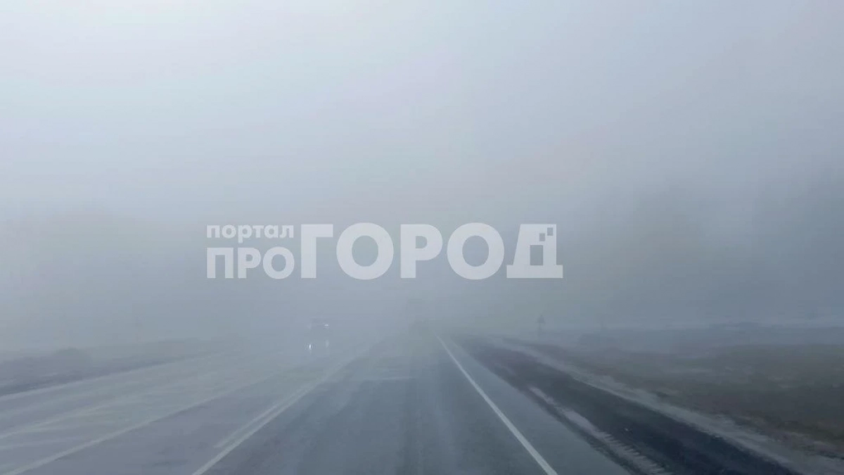 МЧС оповестило жителей Чувашии, что туман задержится до завтра