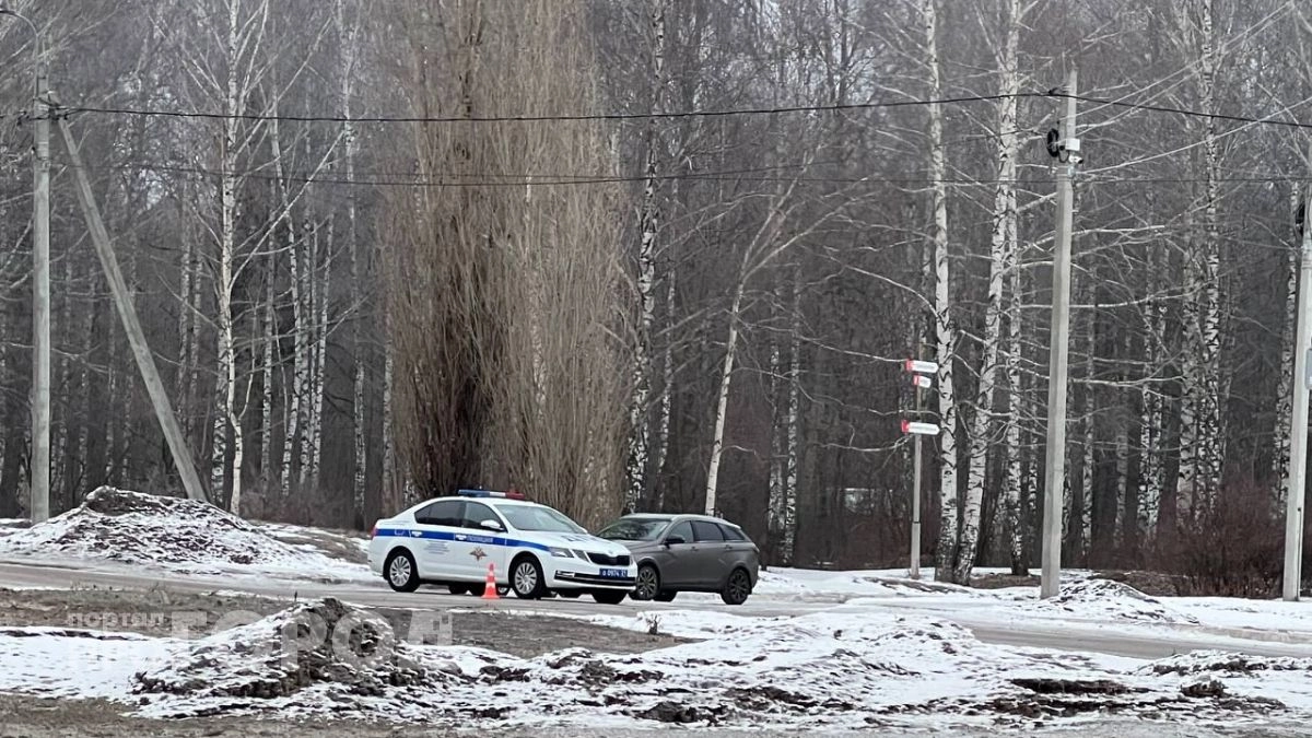 Житель Чувашии купил поддельные права и частично поплатился свободой