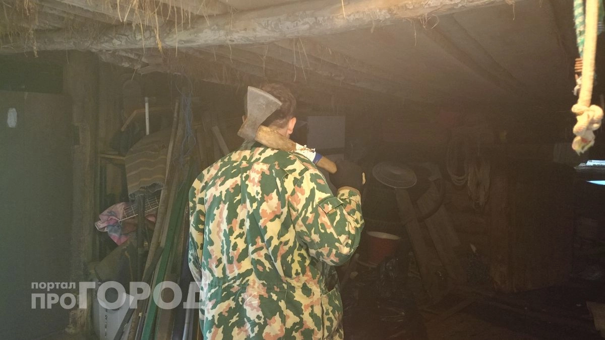 Житель Моргаушского района зарубил соседа топором