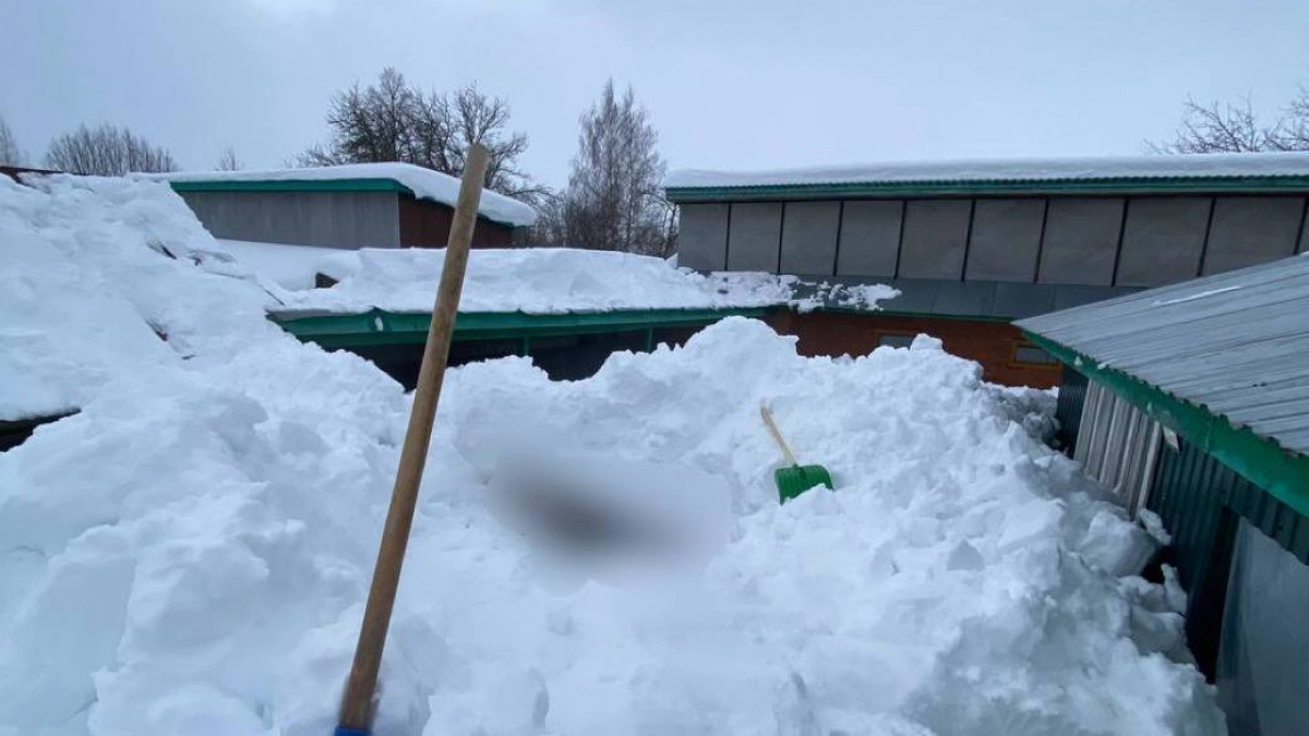 Смертельное ДТП, смерть гендиректора «Промтрактора» и индексация пенсий: главные события марта