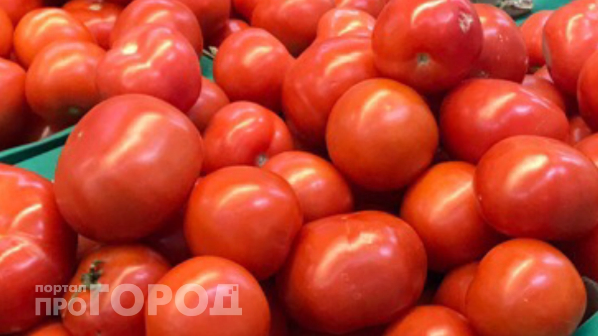 Без теплицы и удобрений: европейский метод помог увеличить урожай томатов на треть