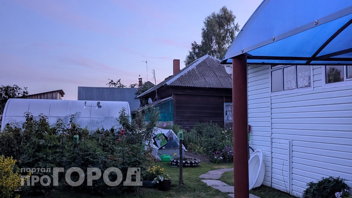 Дачники сметают этот мусор из магазинов: 5 предметов, которые вы выбрасываете, а соседи по участку превращают в золото