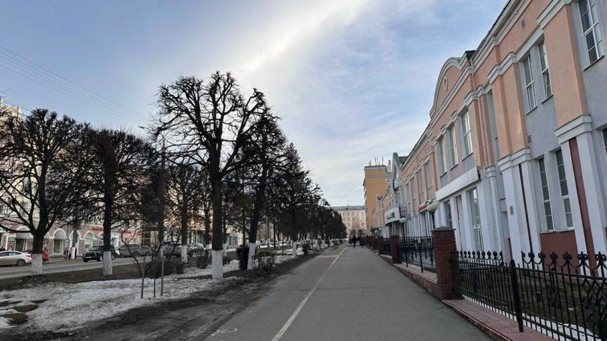 Чуваши отправили почти 1800 обращений за неделю: дороги и ЖКХ в топе