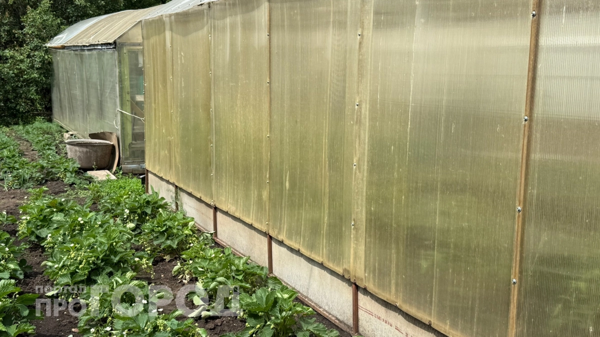 Сразу после схода снега – не забудьте сделать это с теплицей, иначе летом пожалеете