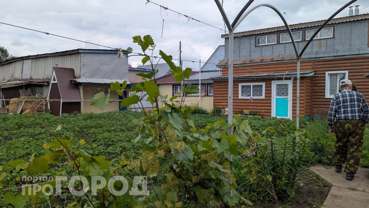 Возраст уже дает о себе знать, но на даче опрыскиваю огород самостоятельно: в «Чижике» купила опрыскиватель, который не надо качать