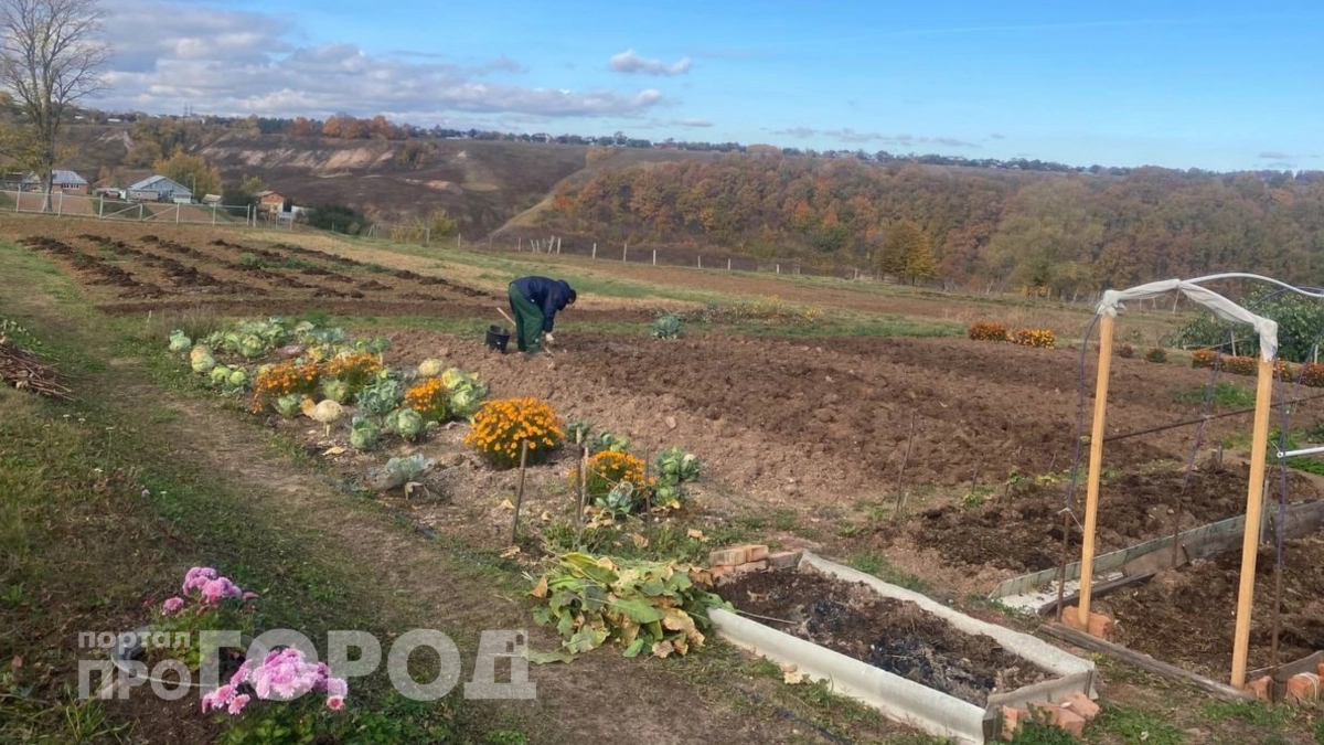 Пока другие ждут тепла: сею в апреле, чтобы к июню уже собрать урожай