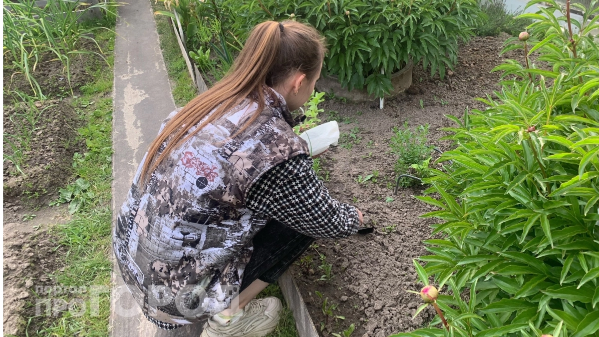 Просто добавляю 10 капель в литр воды, и паутинных клещей как не бывало – урожай изобилует до осени