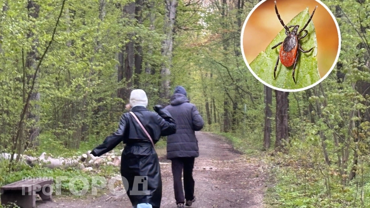 Простая кондитерская специя спасет от клещей на раз-два: в "Магните" можно купить за пять рублей