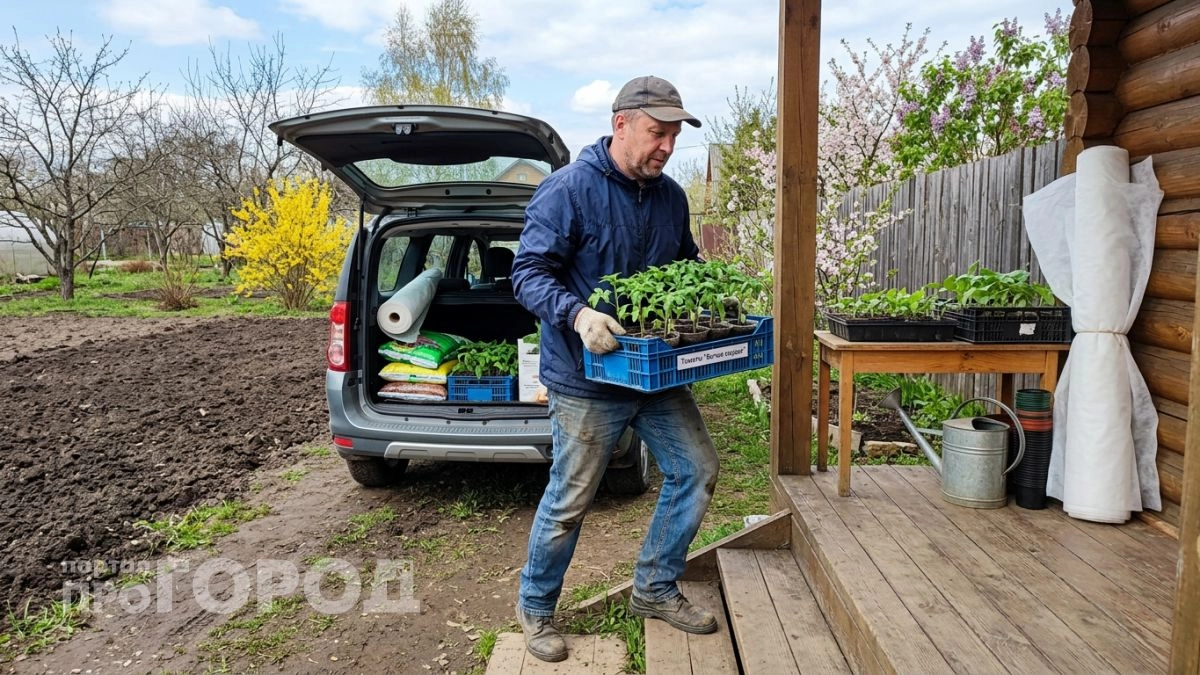 Забудьте о случайных датах: сажайте картофель по этому графику в 2026 году и собирайте урожай до самой осени