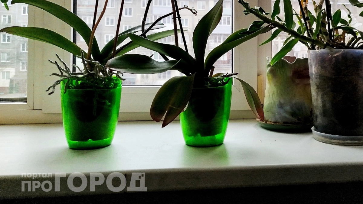 Пластиковые подоконники не в моде: чем давно заменили в Европе – россияне подхватили тренд