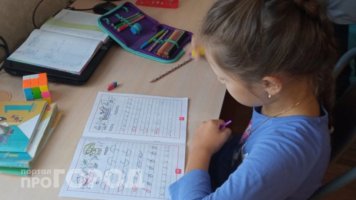 Летние каникулы теперь под вопросом: власти заговорили о существенном сокращении отдыха для школьников