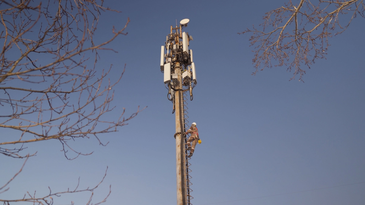 «Пилар» стал лидером башенного рынка по темпам роста и числу вышек – Telecom Daily