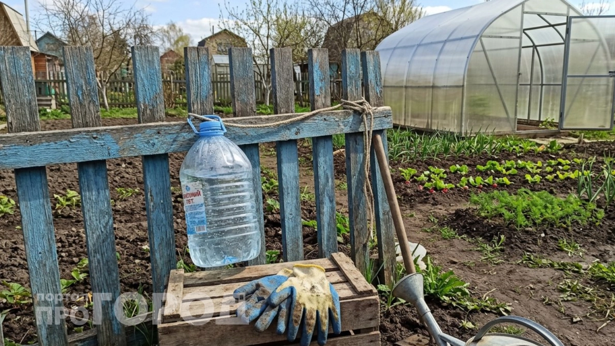 Подвесила пластиковую бутылку с водой к забору: это помогло решить все мои проблемы на участке 