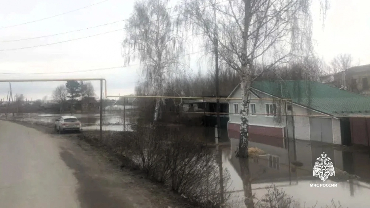 В Алатыре подтопило полтора десятка домов: ситуация под контролем