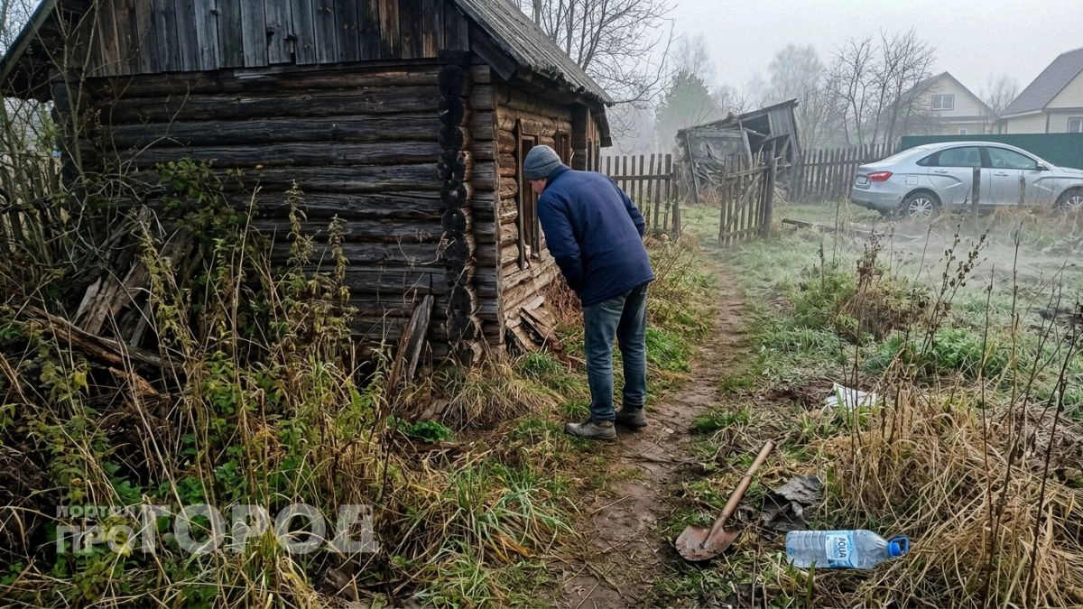 Законный способ забрать заброшенный участок себе: юрист назвал три главных условия для оформления прав собственности
