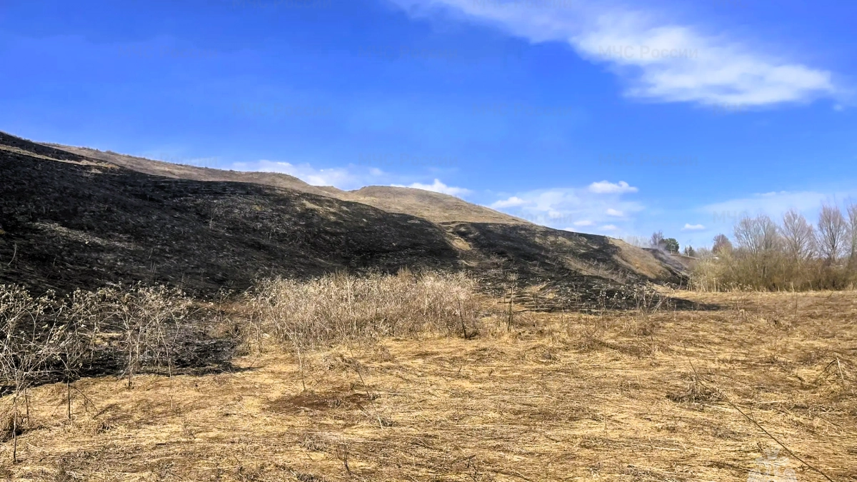 В Чувашии вспыхнула первая сухая трава этой весны