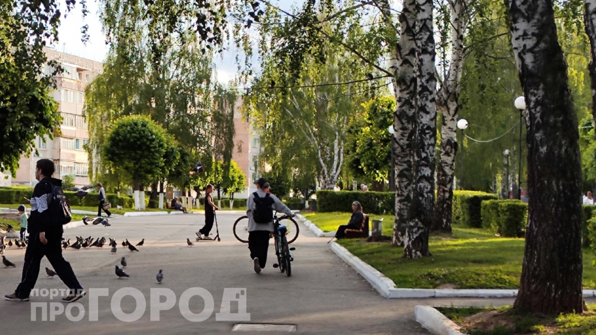 Сходила в парк – попала на деньги: россиян предупредили о штрафах за сбор березового сока