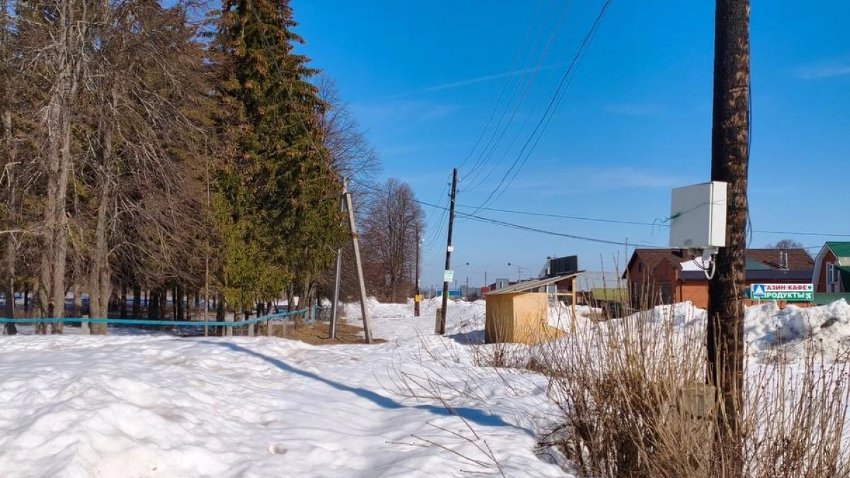 Три деревни в Моргаушском районе могли остаться без света из-за невырубленных деревьев