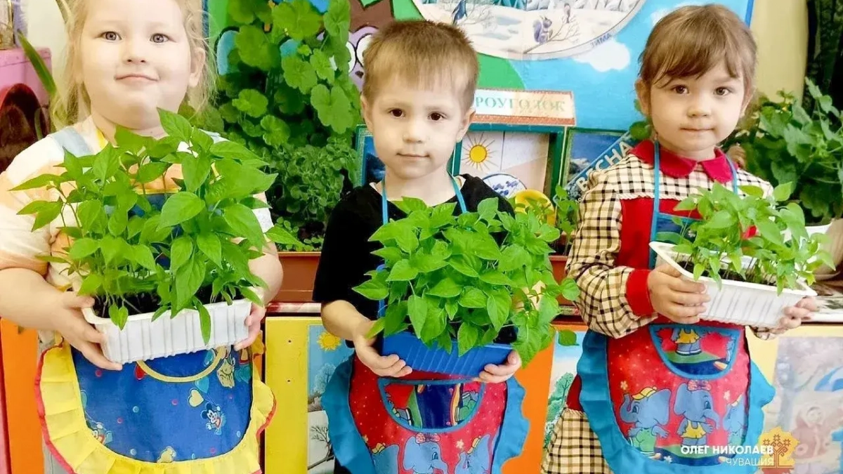 В Чувашии 32 детских сада объединились с колледжами ради ранней профориентации