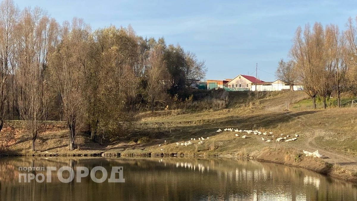У жителя Чувашии отобрали землю из-за пруда, которого не было в документах 