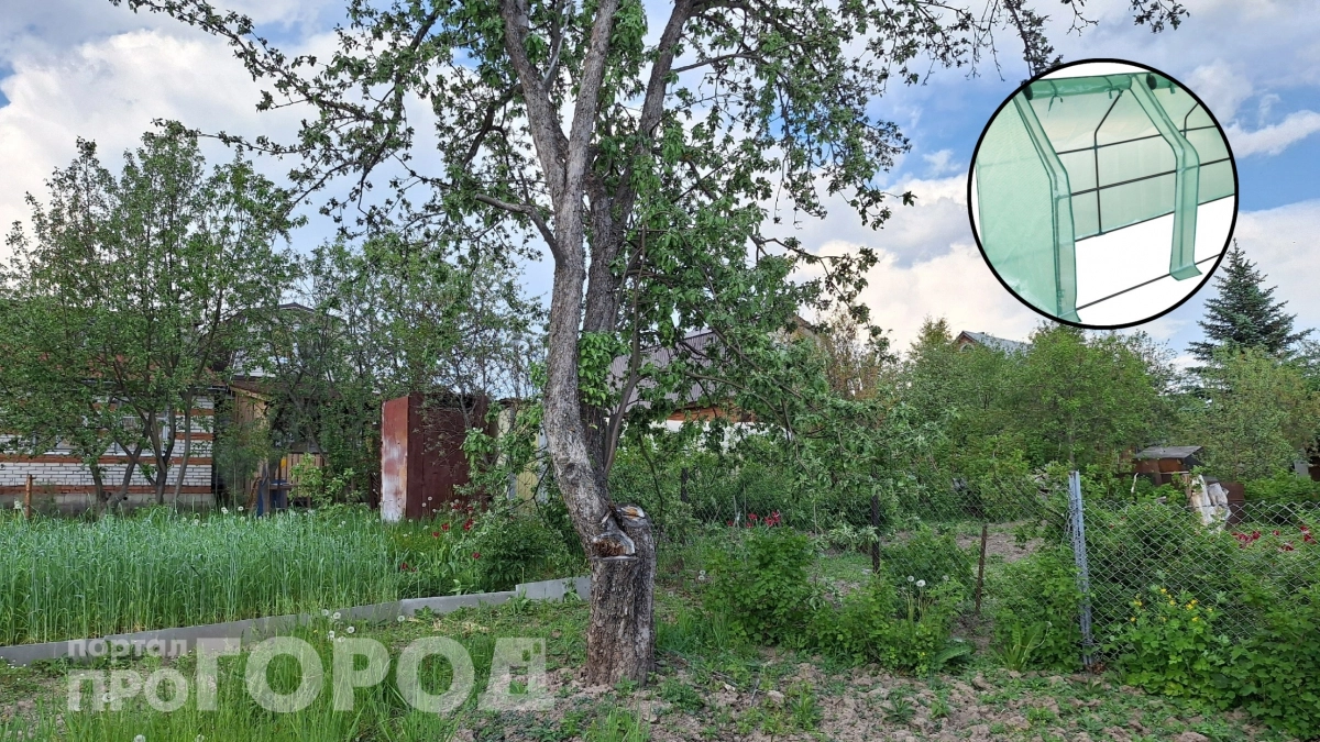 Идеальный парник под огурцы, и ветром не сдует: в "Ленте" успела урвать всего за две тысячи, отзывы шикарные