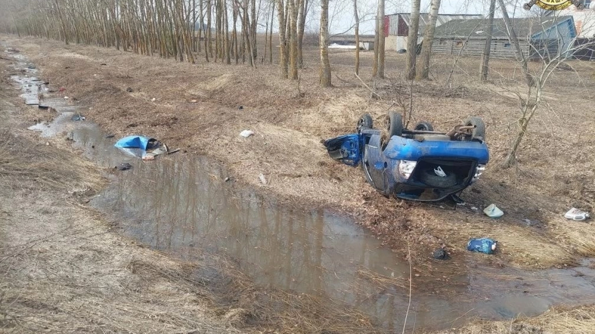 В Чувашии две легковушки улетели в кювет: есть пострадавшие