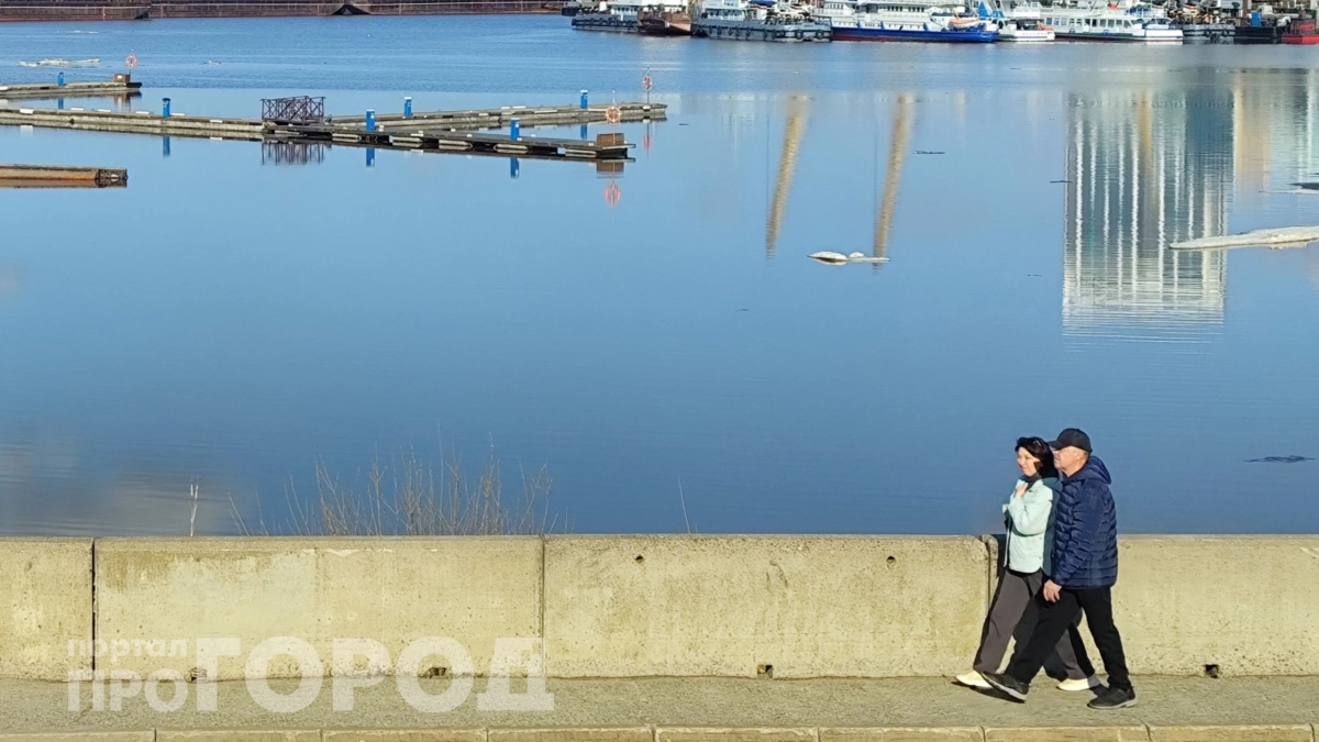 Если вам 40-70 лет: нужна одна чайная ложка каждый день – поможет сохранить ясность ума