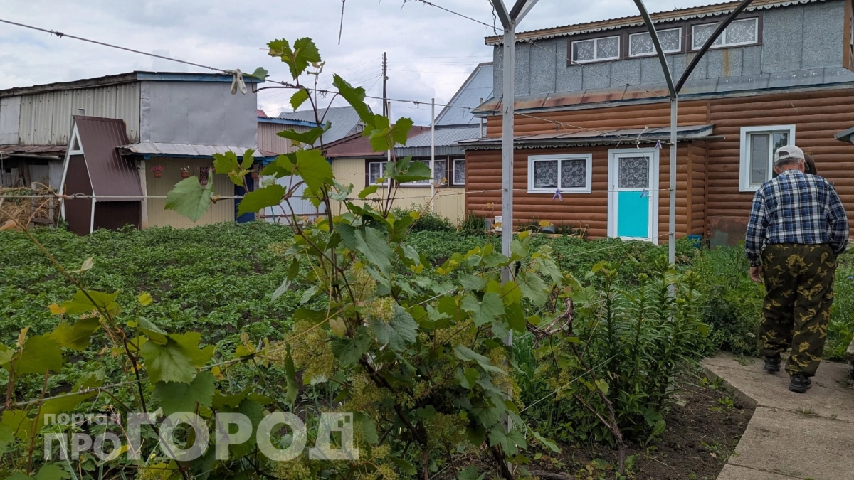 Гастроэнтеролог назвала самый вредный дачный овощ: бьет по поджелудочной