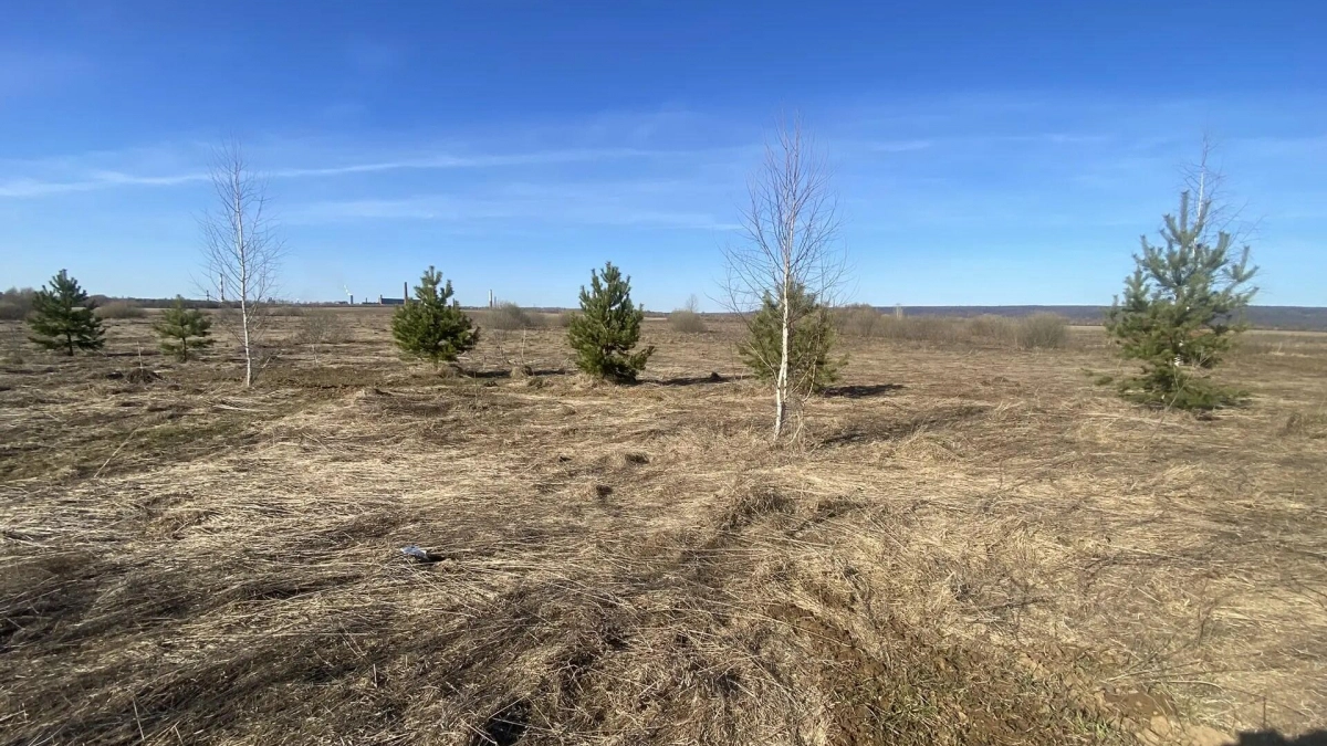 Более четырех гектаров сухой травы выгорело в Чувашии за сутки