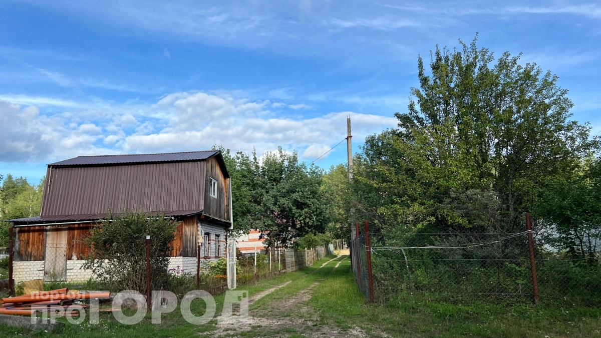 Россияне массово отказываются от дачных теплиц в пользу китайского метода: урожай выше в два раза