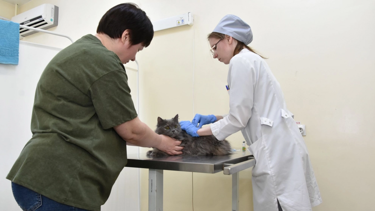 В Чебоксарах открылся первый госветкабинет с оборудованием экспертного класса