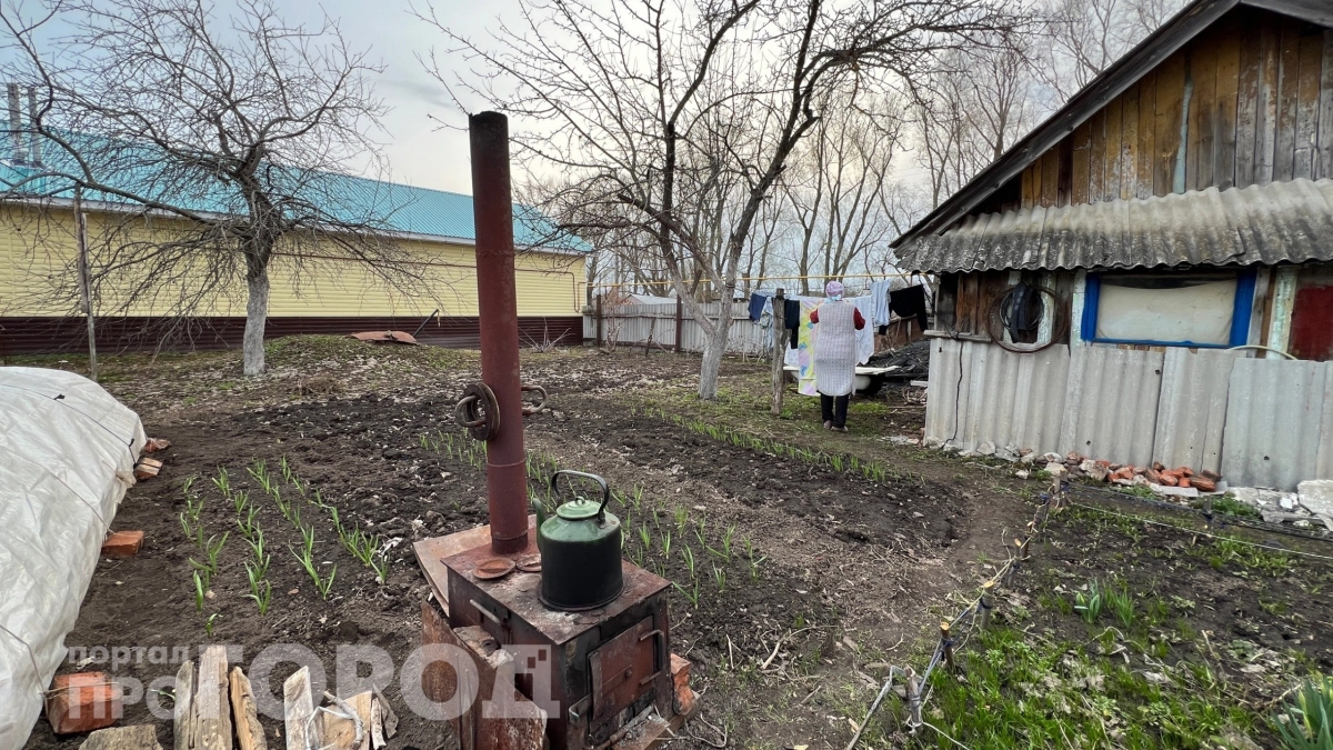 Эти насекомые защищают вас от клещей на даче, но вы их травите первыми