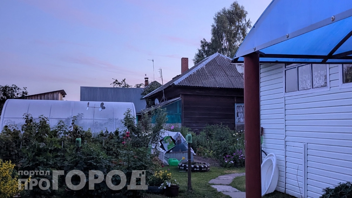 Один стакан «дачного мусора» лучше любого удобрения: как простой метод повысил урожайность на 90%