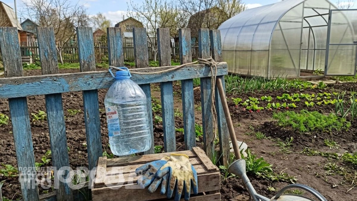 Прикрепила бутылку с водой на забор: теперь на моем участке больше нет тех самых надоедливых проблем