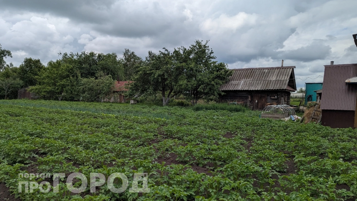 "Сценарий будет катастрофическим": синоптики назвали роковую дату для дачников – это обернется потерей всего урожая