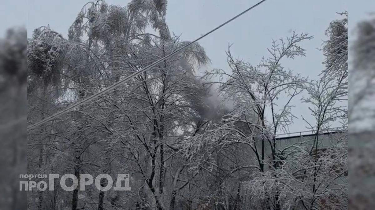 В Чебоксарах дерево сломалось и рухнуло прямо на здание