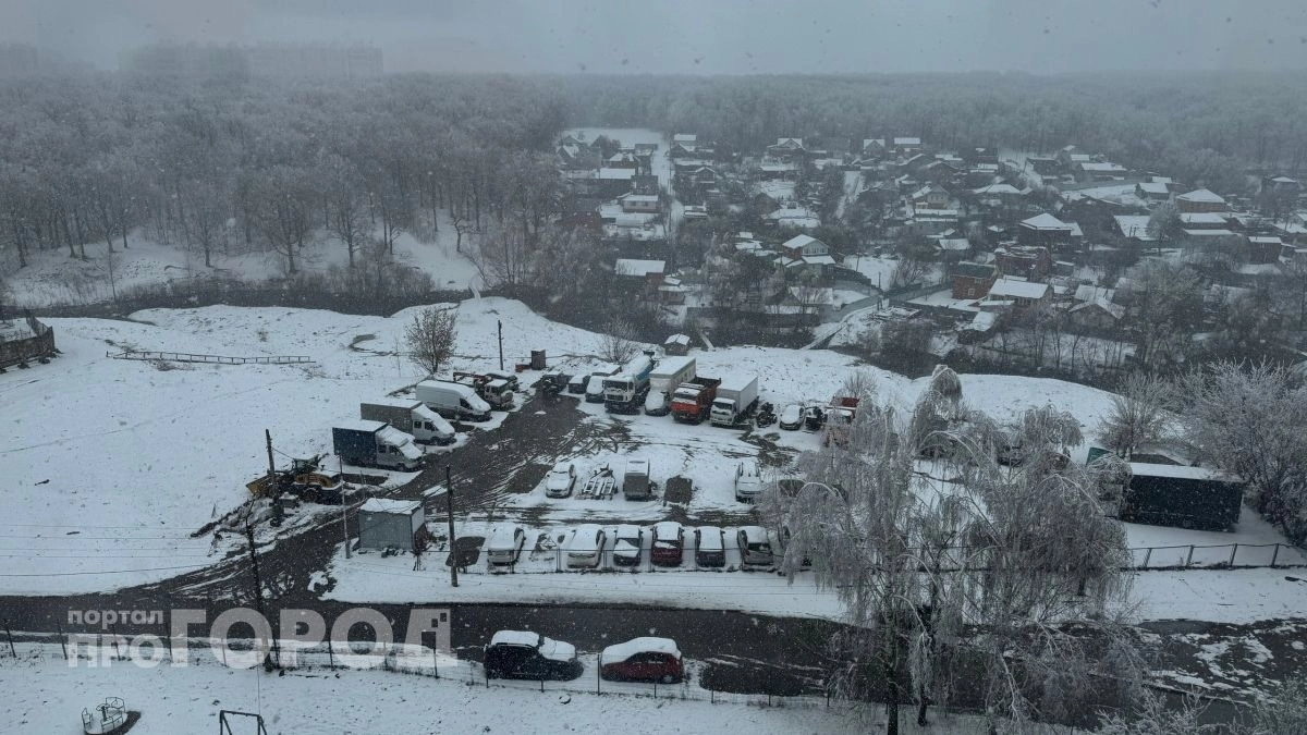 Из-за ледяного дождя и обвалившихся деревьев в Чебоксарах изменили маршруты общественного транспорта 
