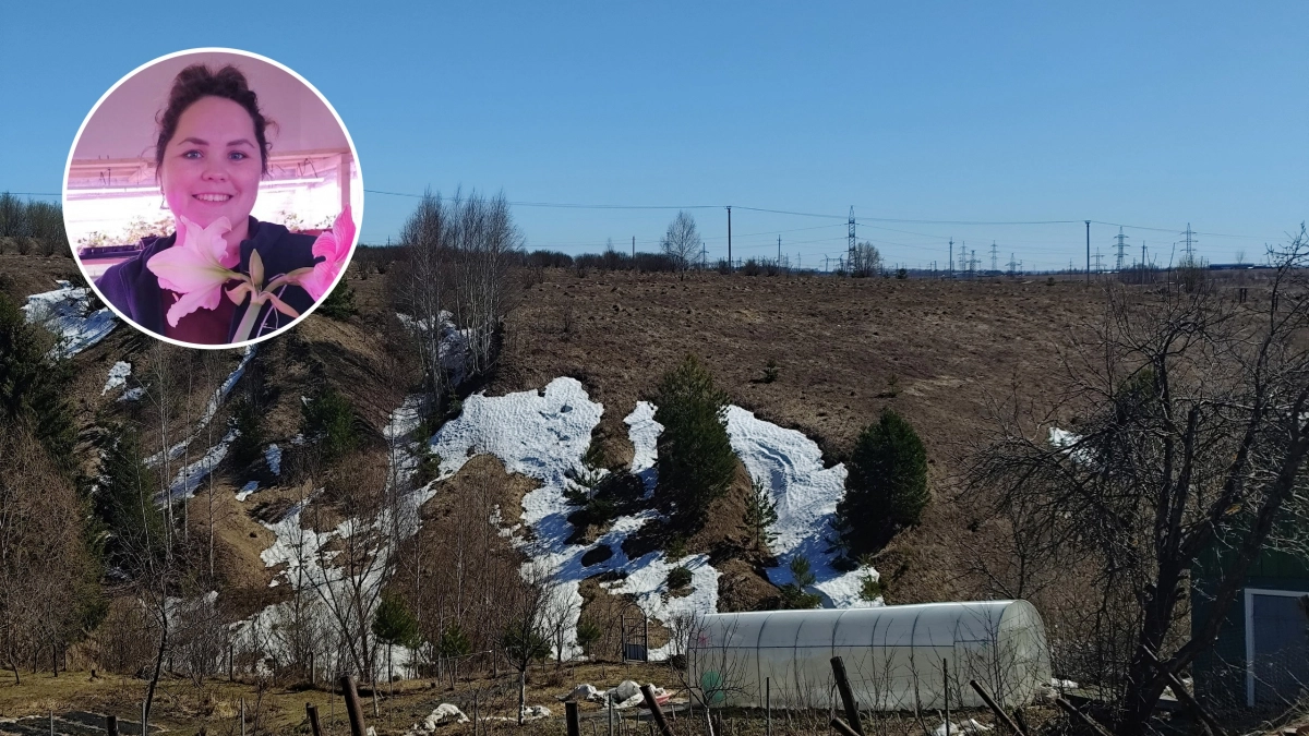 Чем мороз и ледяной дождь опасны для растений и как защитить свой сад и огород от гибели: советы опытного агронома из Чувашии