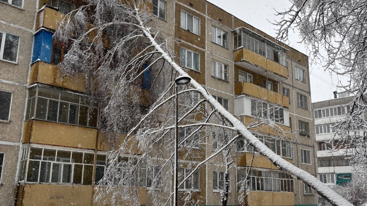 Последствия ледяного дождя в Чувашии и приговор по делу об убийстве: главные новости за 21 апреля